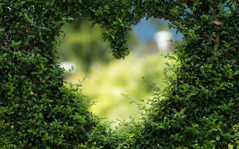 Das schönste und komplexeste Gefühl: die Liebe