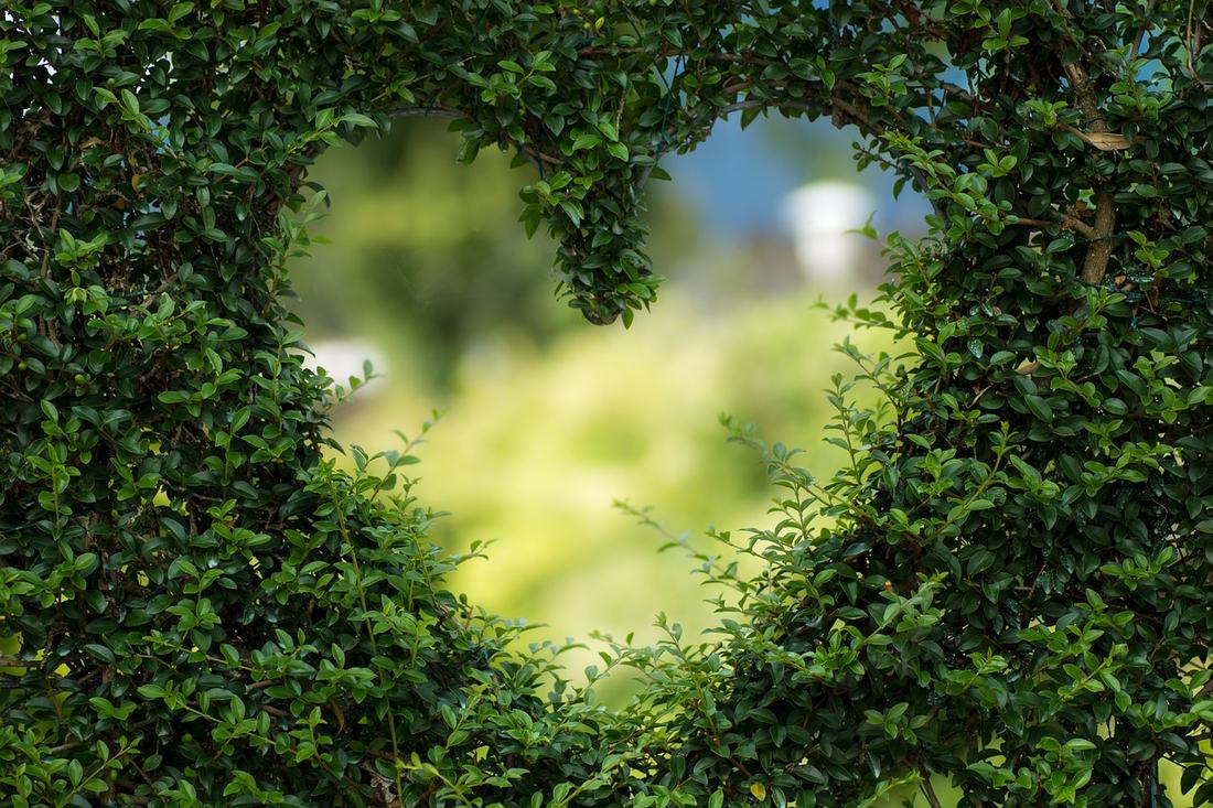 Das schönste und komplexeste Gefühl: die Liebe