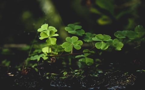 Flow-Momente: Wie Flow uns erfüllt und beflügelt